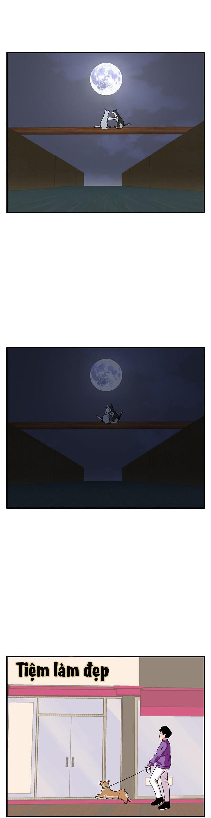 Chúa Tể Muôn Loài: Chapter 26