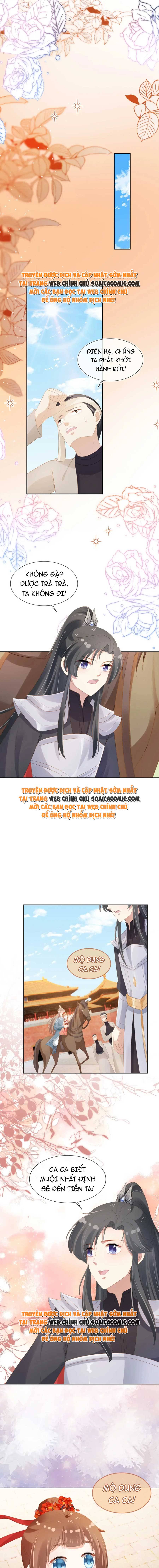 Chưởng Thượng Manh Châu: Chapter 100