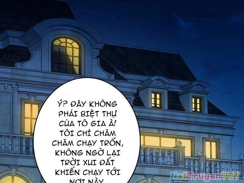 Chuyển Nghề Vô Hạn: Ta Có Thể Triệu Hồi Nữ Thần Max Cấp: Chapter 47