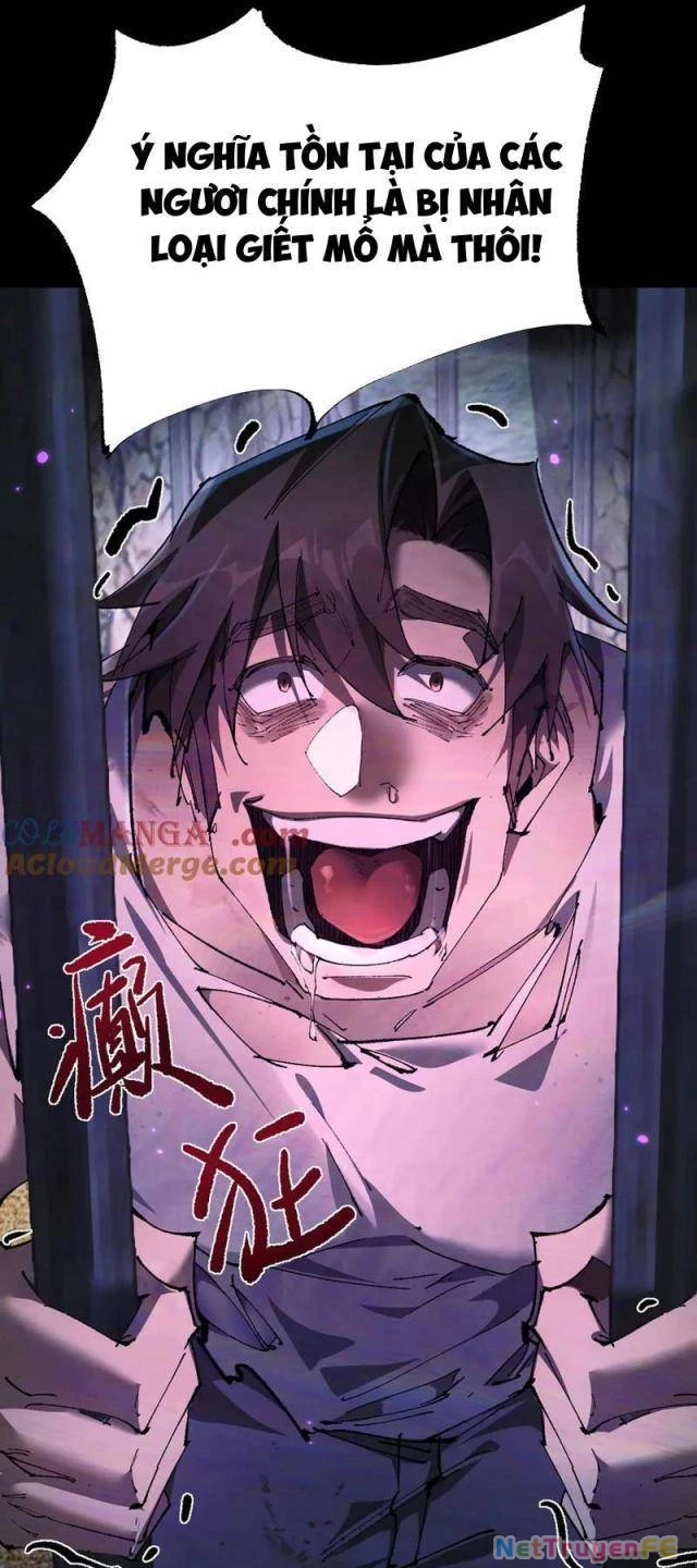 Chuyển Sinh Thành Goblin: Chapter 13