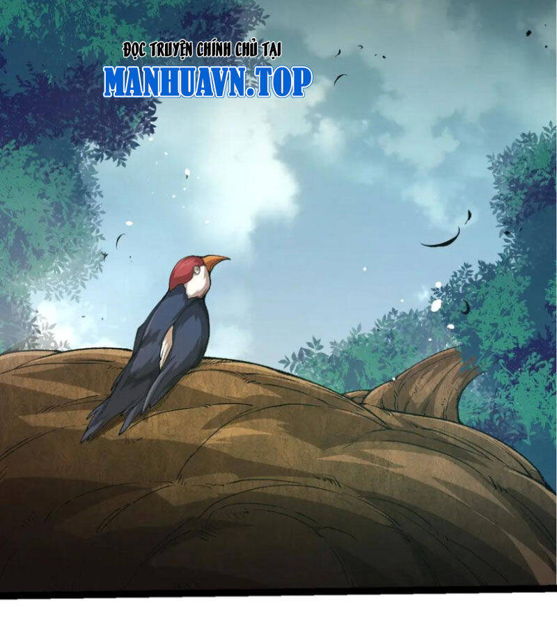 Chuyển Sinh Thành Liễu Đột Biến: Chapter 299