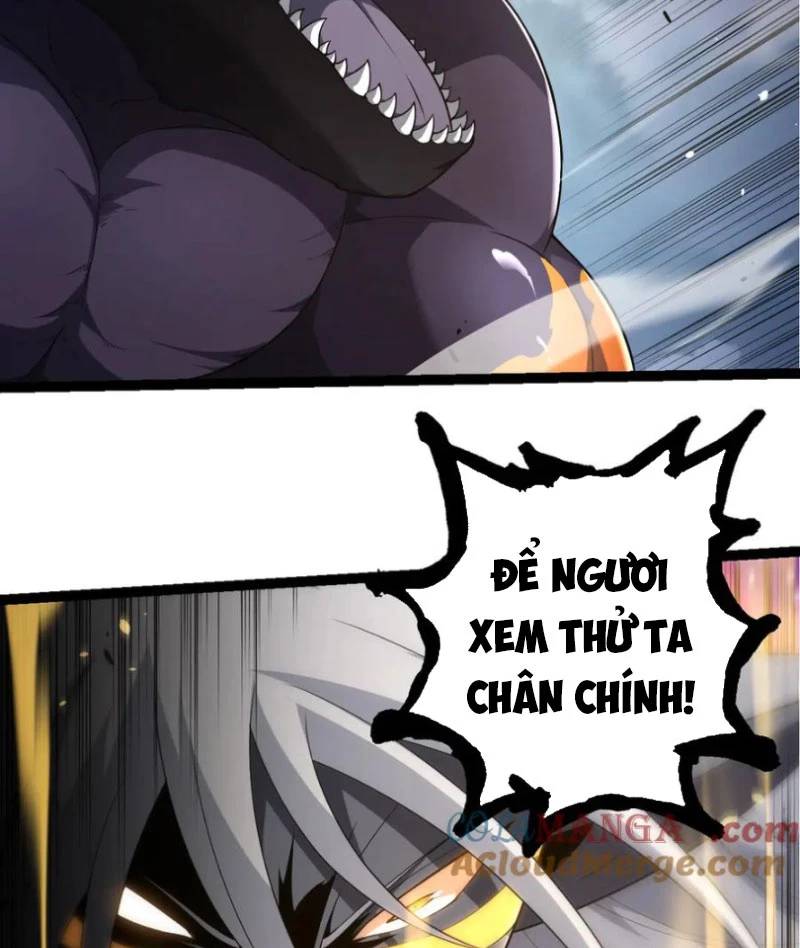 Chuyển Sinh Thành Liễu Đột Biến: Chapter 304