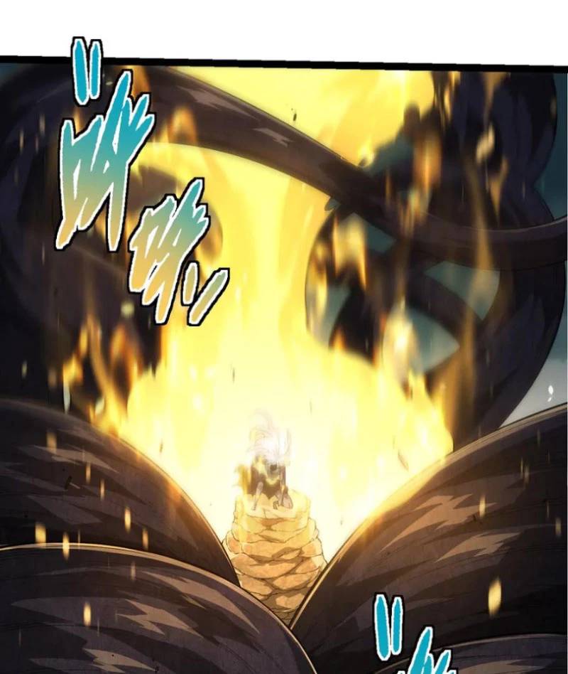 Chuyển Sinh Thành Liễu Đột Biến: Chapter 304