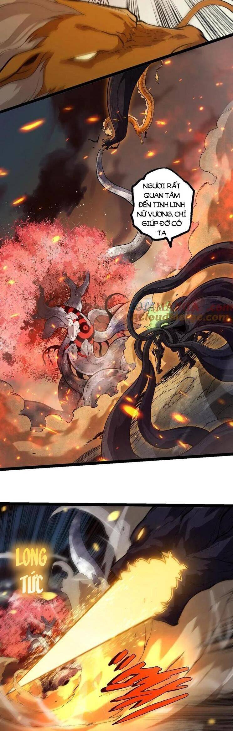 Chuyển Sinh Thành Liễu Đột Biến: Chapter 309