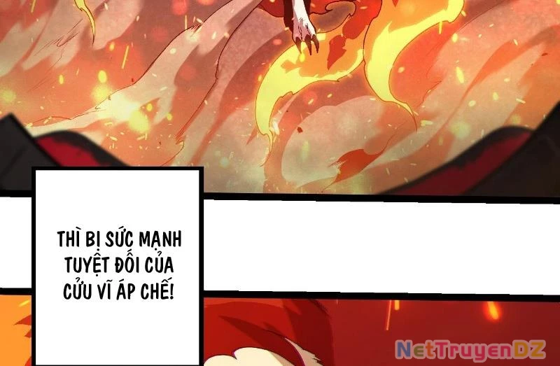 Chuyển Sinh Thành Liễu Đột Biến: Chapter 312