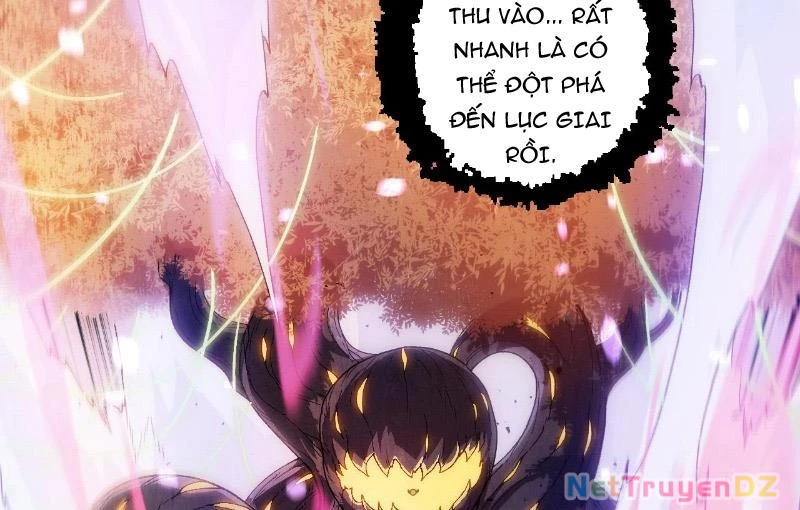 Chuyển Sinh Thành Liễu Đột Biến: Chapter 312