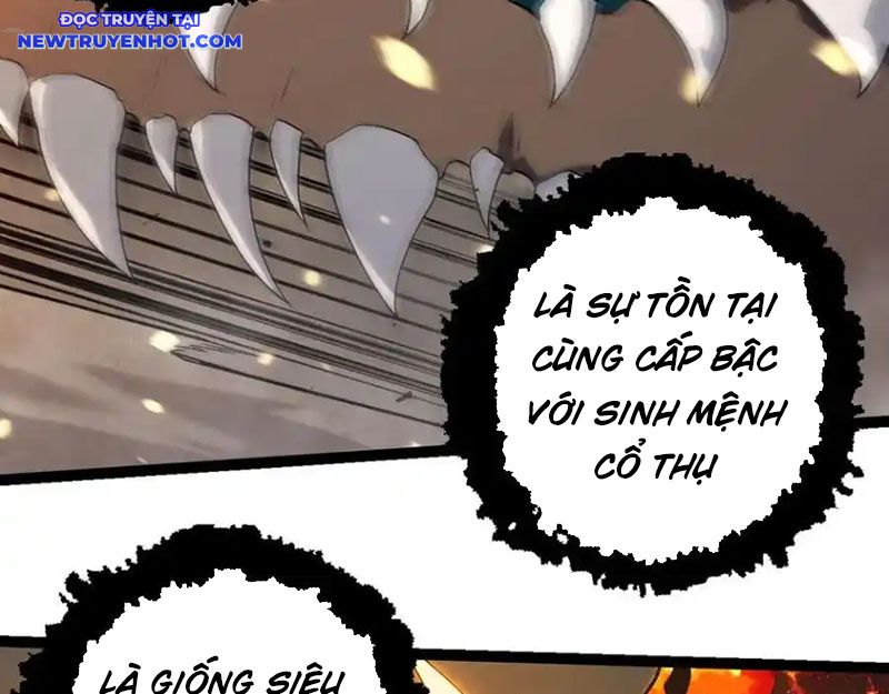 Chuyển Sinh Thành Liễu Đột Biến: Chapter 319