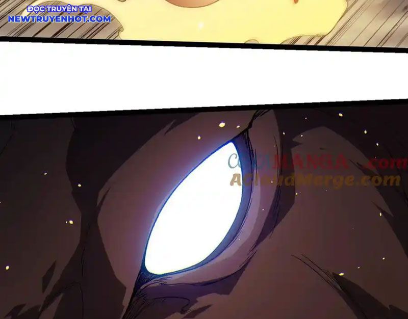 Chuyển Sinh Thành Liễu Đột Biến: Chapter 319