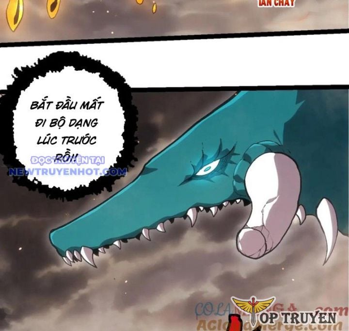 Chuyển Sinh Thành Liễu Đột Biến: Chapter 320