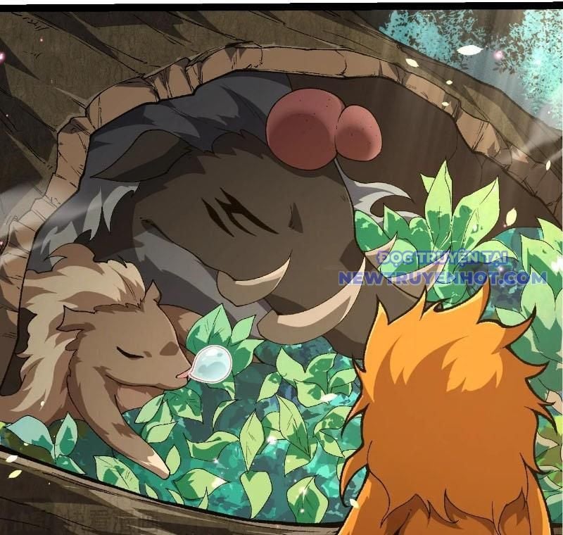 Chuyển Sinh Thành Liễu Đột Biến: Chapter 322