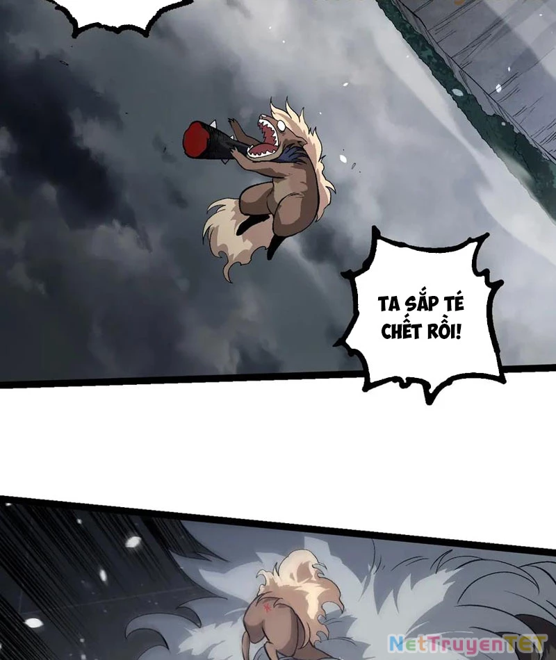 Chuyển Sinh Thành Liễu Đột Biến: Chapter 325