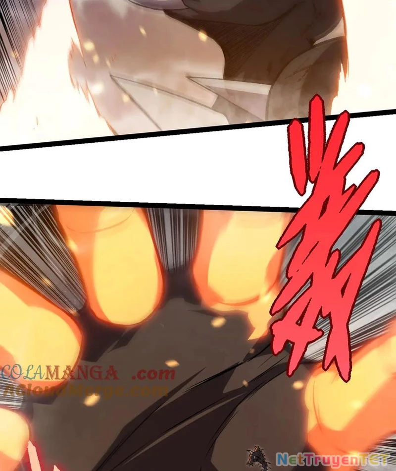 Chuyển Sinh Thành Liễu Đột Biến: Chapter 325