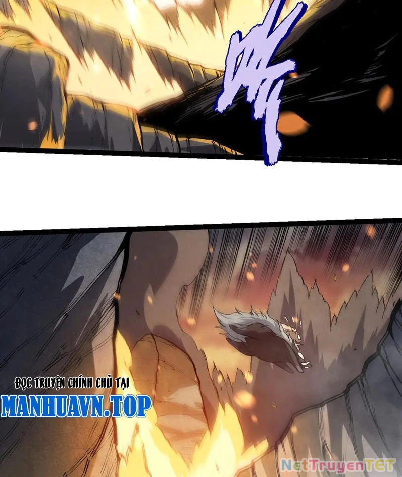 Chuyển Sinh Thành Liễu Đột Biến: Chapter 325