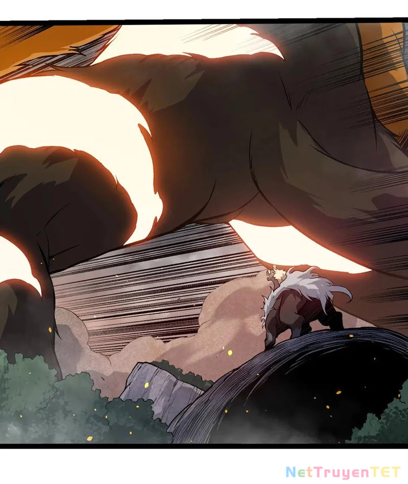 Chuyển Sinh Thành Liễu Đột Biến: Chapter 325