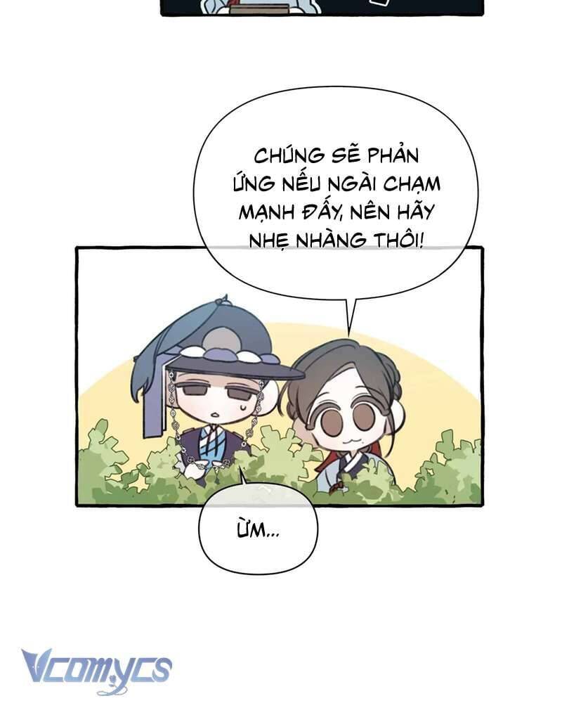 Chuyện Tình Hoa Lưu Ly: Chapter 3