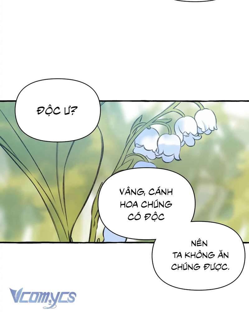 Chuyện Tình Hoa Lưu Ly: Chapter 4