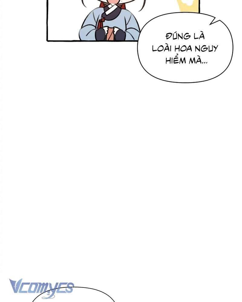 Chuyện Tình Hoa Lưu Ly: Chapter 4