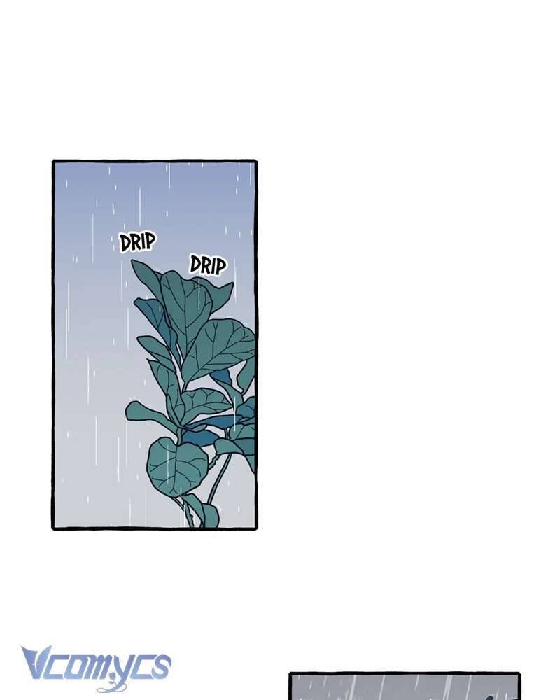 Chuyện Tình Hoa Lưu Ly: Chapter 7