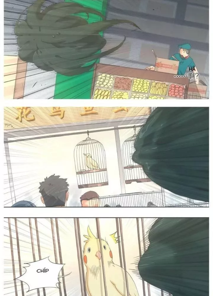 Cô Gái Chùy Của Tôi: Chapter 29