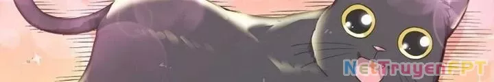 Cô Gái Chùy Của Tôi: Chapter 4