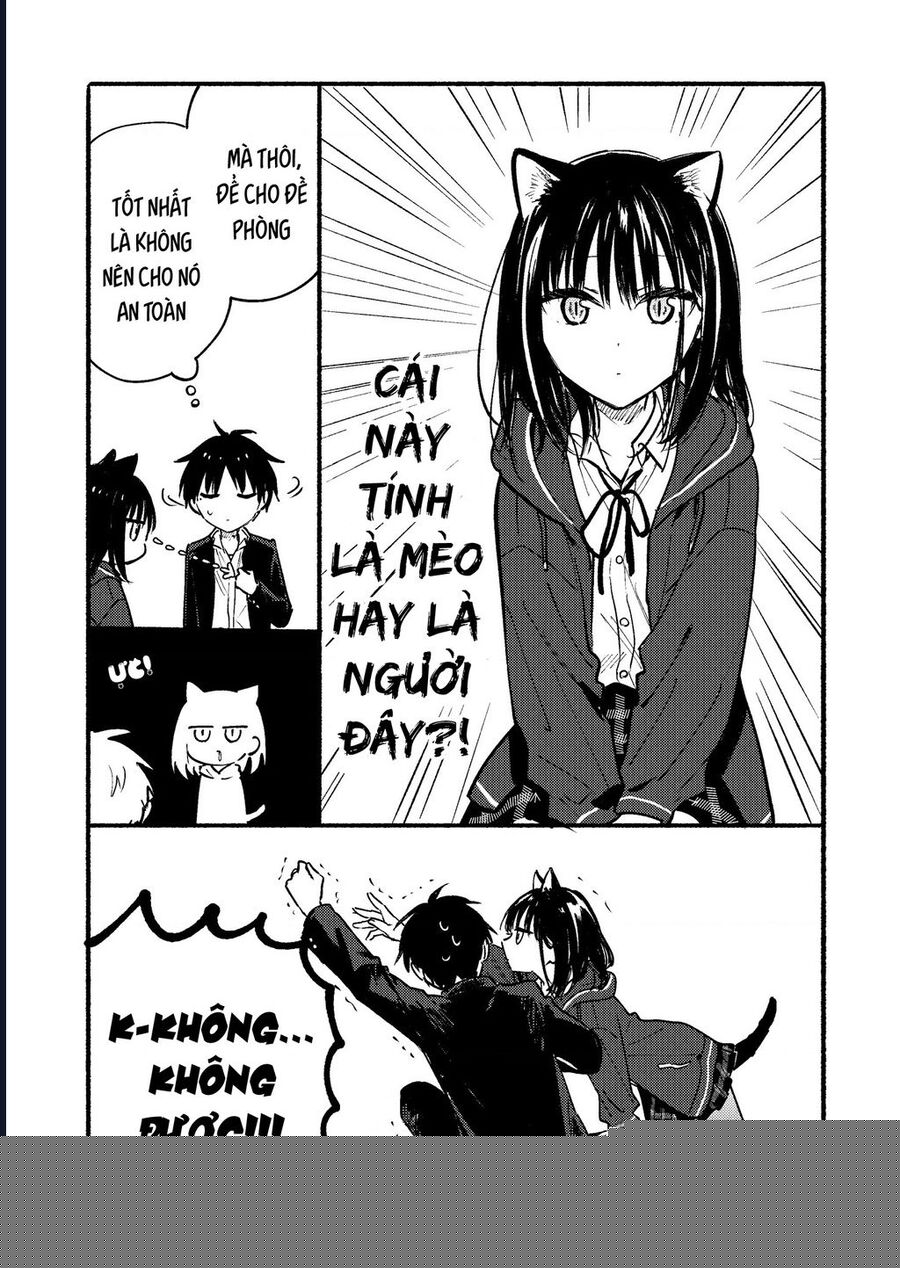 Cô Nàng Mèo Ngủ Gật Và Chàng Trai Hướng Nội: Chapter 25.5
