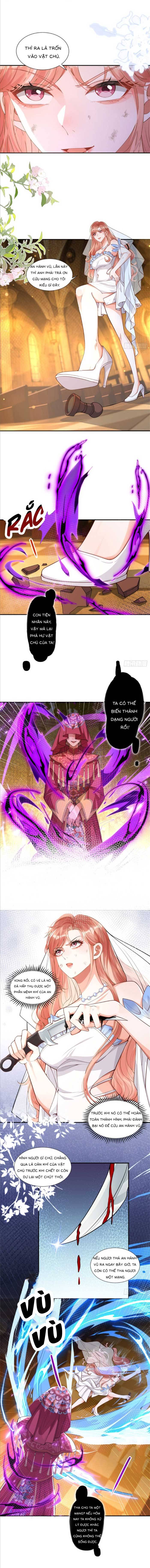 Cô Vợ Nhỏ Cứ Thích Phá Vỡ Hình Tượng: Chapter 6