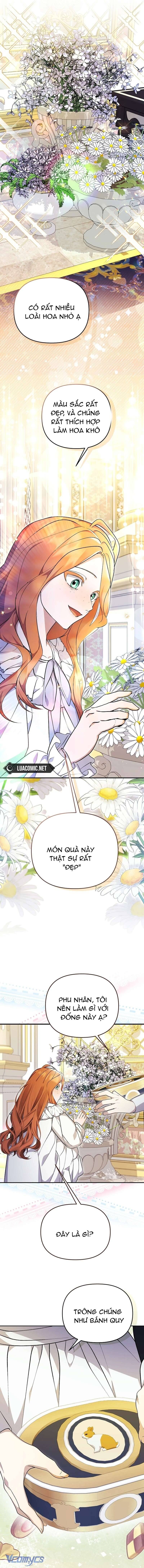 Cô Vợ Xấu Xí Của Công Tước Ám Muội: Chapter 11