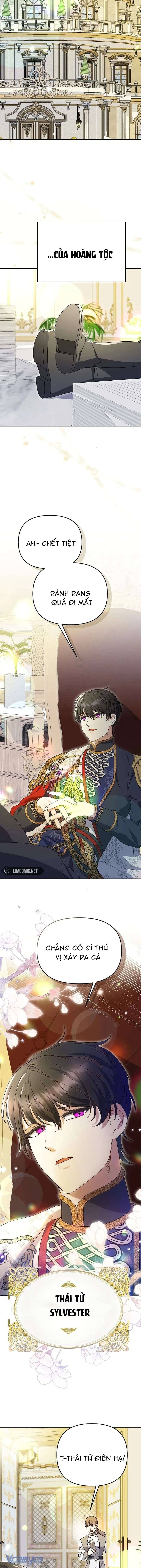 Cô Vợ Xấu Xí Của Công Tước Ám Muội: Chapter 14