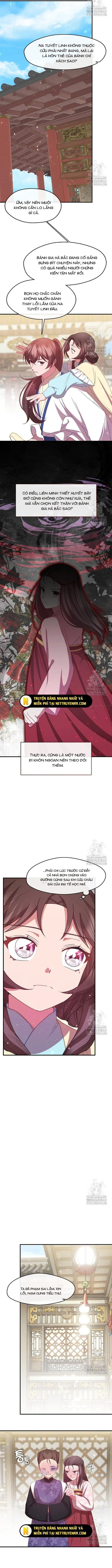 Con Gái Út Của Thiên Hạ Đệ Nhất Nam Cung Thế Gia: Chapter 40