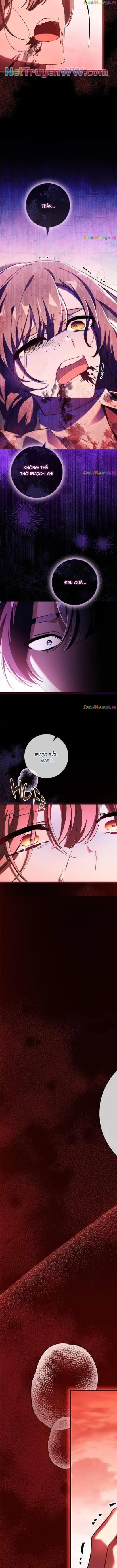 Công Chúa Gác Mái: Chapter 71