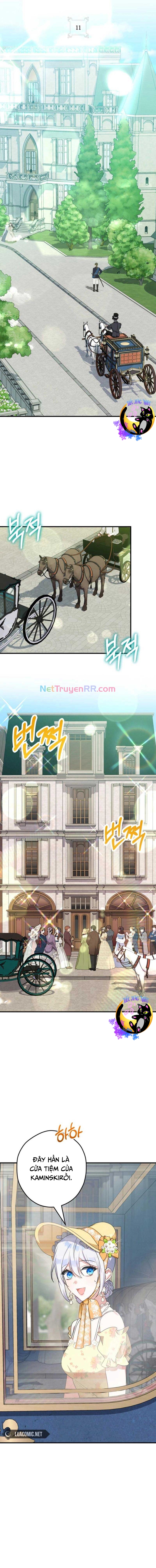 Công Nương Sinh Ra Để Sống Một Mình: Chapter 11