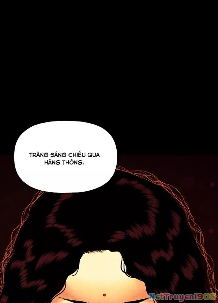Cửa Hàng Đồ Cổ Tương Lai: Chapter 51