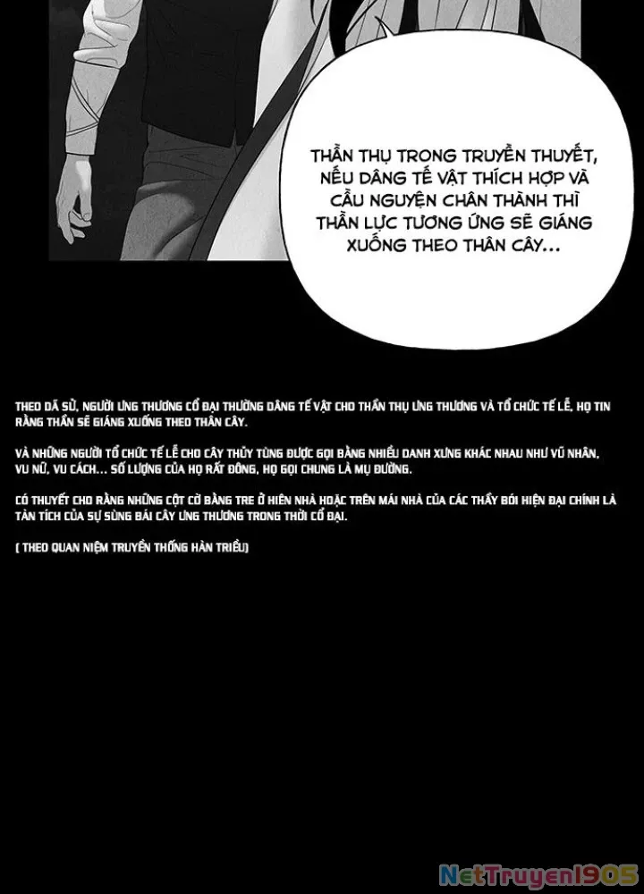 Cửa Hàng Đồ Cổ Tương Lai: Chapter 51