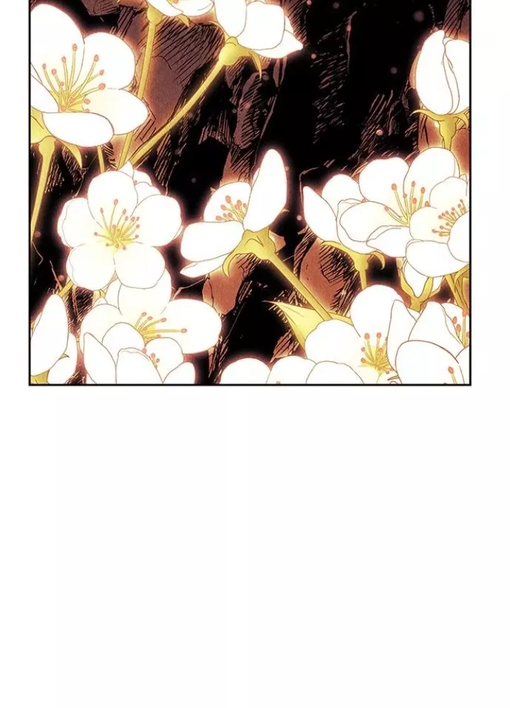 Cửa Hàng Đồ Cổ Tương Lai: Chapter 54