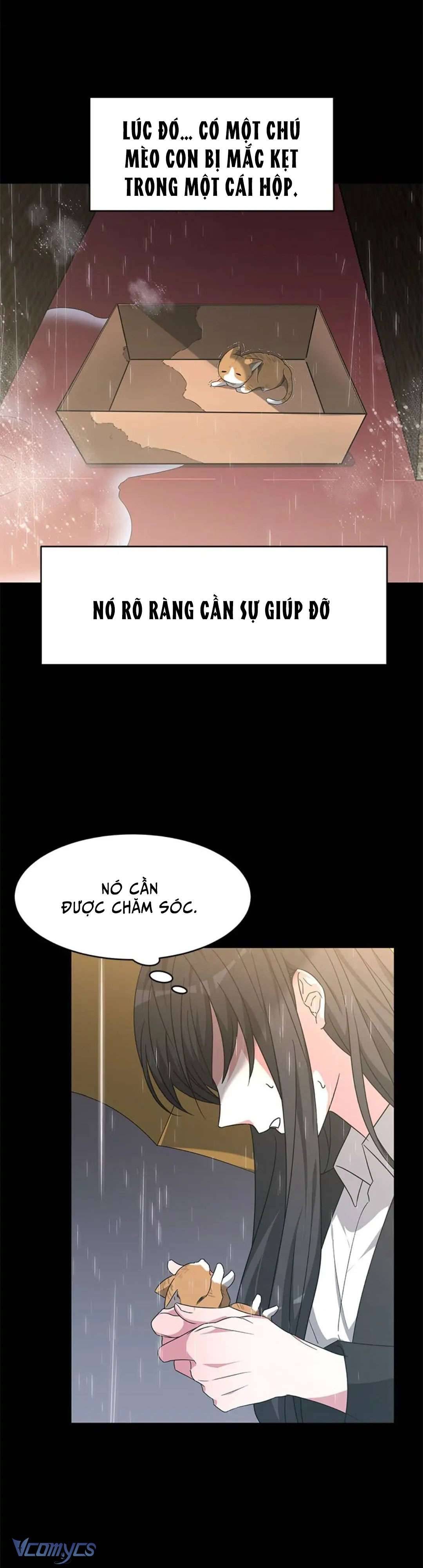 Cuộc Đời Của Maria Lewellin: Chapter 1