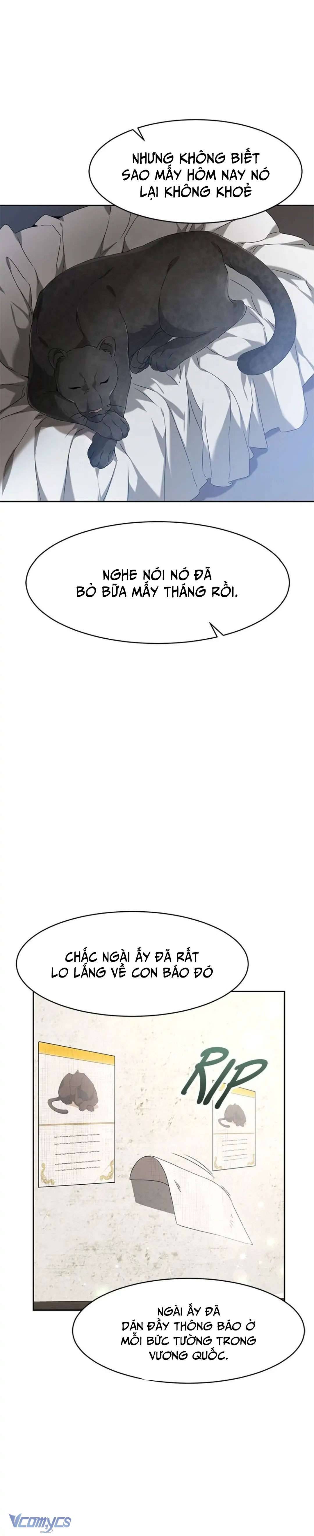 Cuộc Đời Của Maria Lewellin: Chapter 1