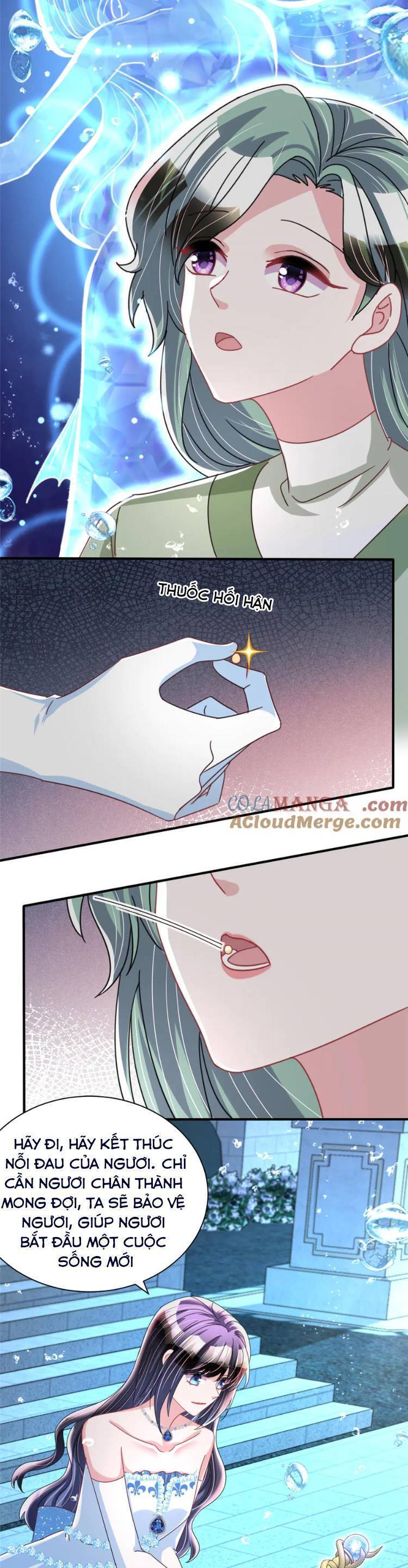 Cuộc Hôn Nhân Với Boss Nhà Giàu Khét Tiếng: Chapter 233