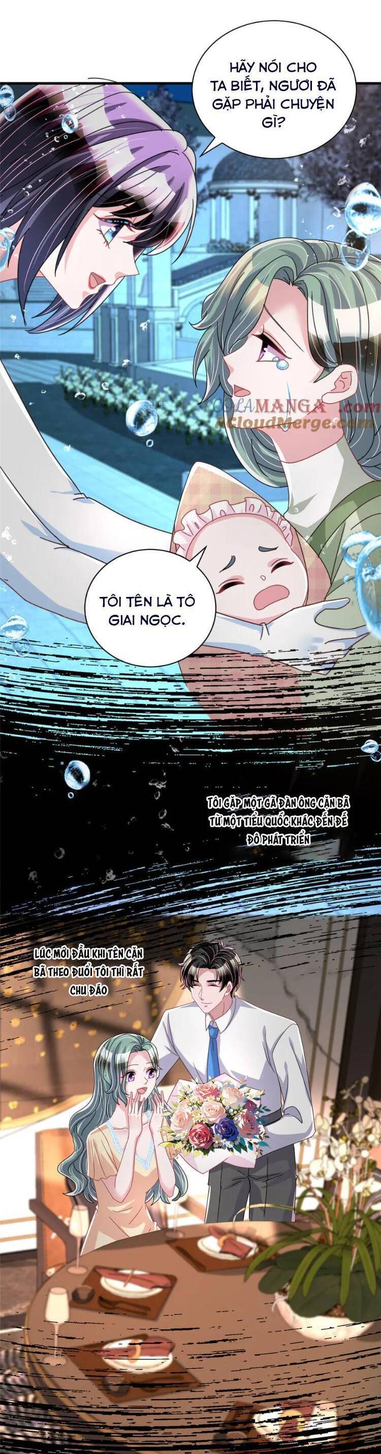 Cuộc Hôn Nhân Với Boss Nhà Giàu Khét Tiếng: Chapter 233