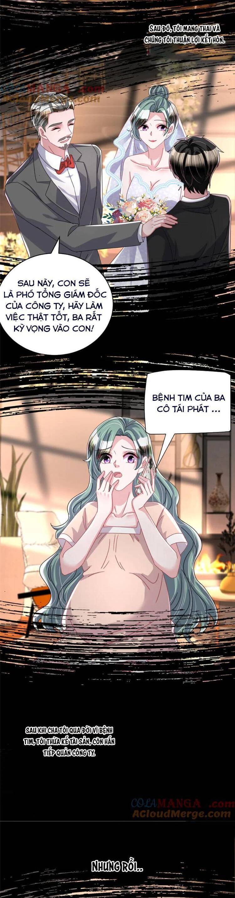 Cuộc Hôn Nhân Với Boss Nhà Giàu Khét Tiếng: Chapter 233