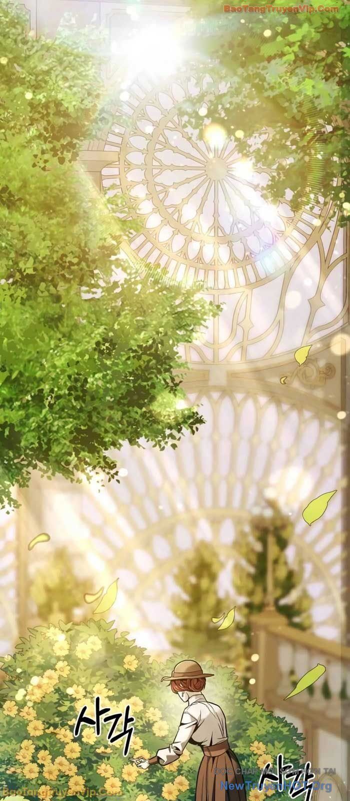 Cuộc Sống Tái Sinh Của Pháp Sư Hẻm Tối: Chapter 8