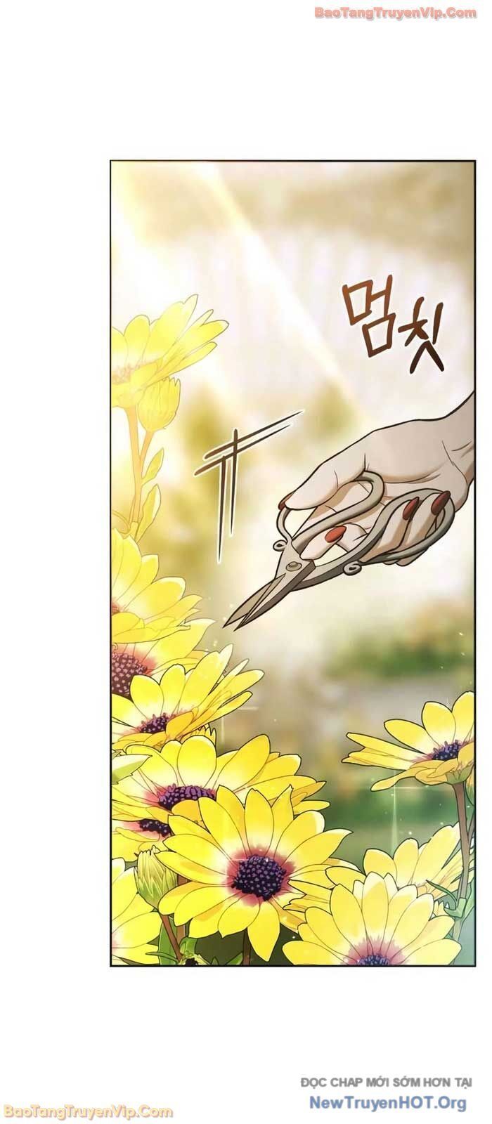 Cuộc Sống Tái Sinh Của Pháp Sư Hẻm Tối: Chapter 8