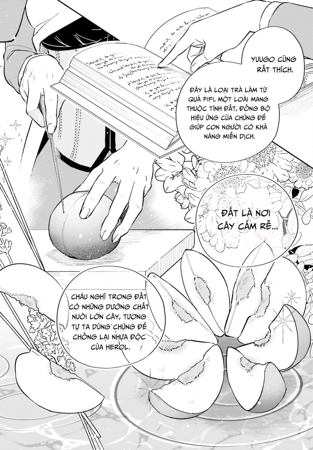 Cuộc Sống Thưởng Trà Của Amalia, Nàng Phù Thủy Bị Lãng Quên: Chapter 7