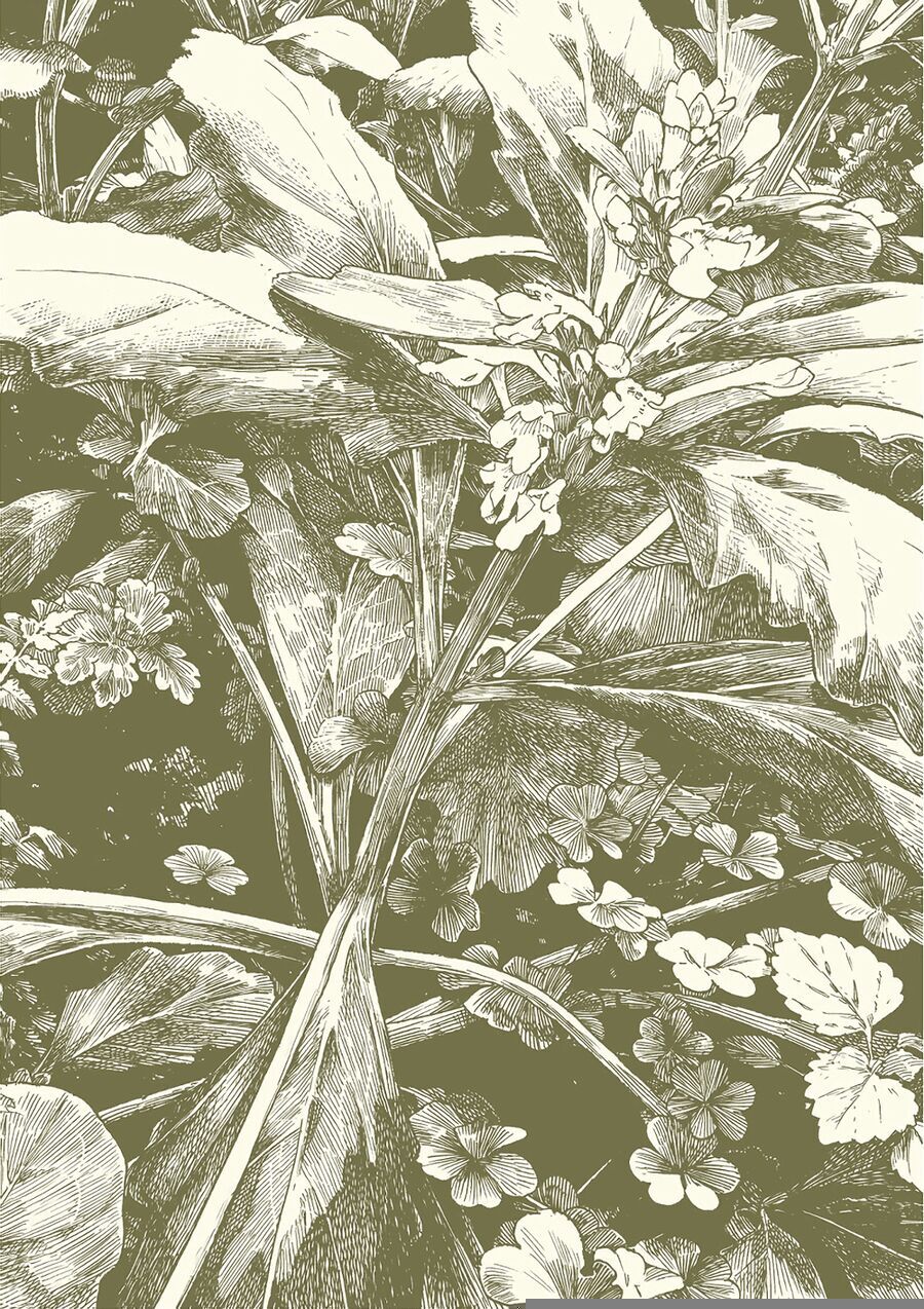 Cuộc Sống Tí Hon Trong Rừng Sâu.: Chapter 63