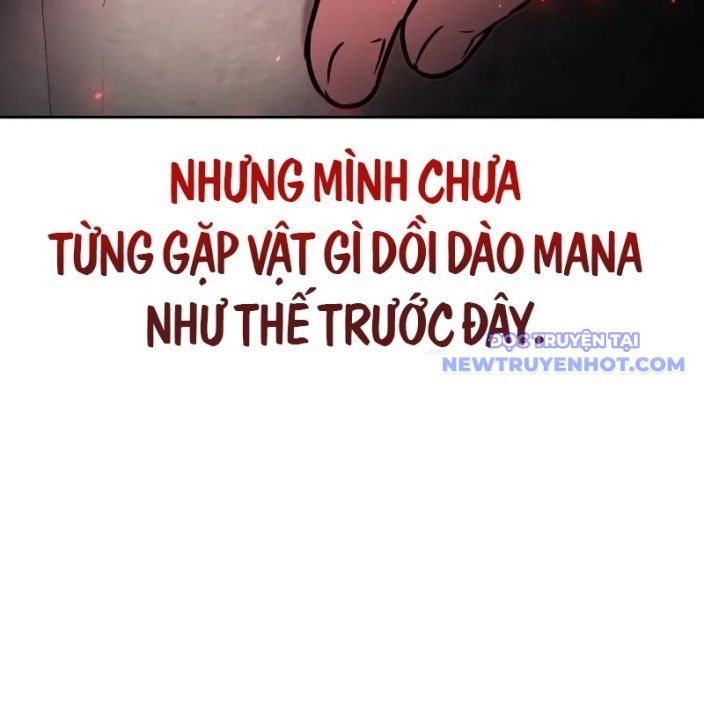 Đa Sắc Ma Pháp Sư Thiên Tài: Chapter 11
