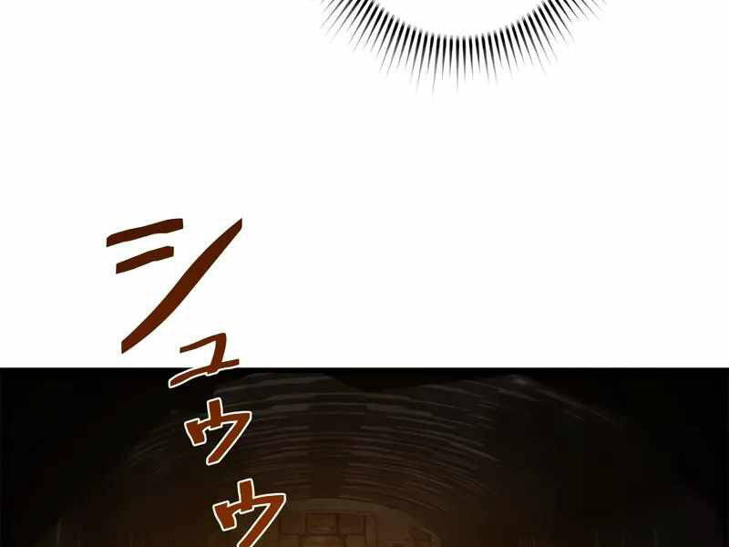 Đặc Tính Tiến Hóa Của Chiêu Hồn Sư: Chapter 77
