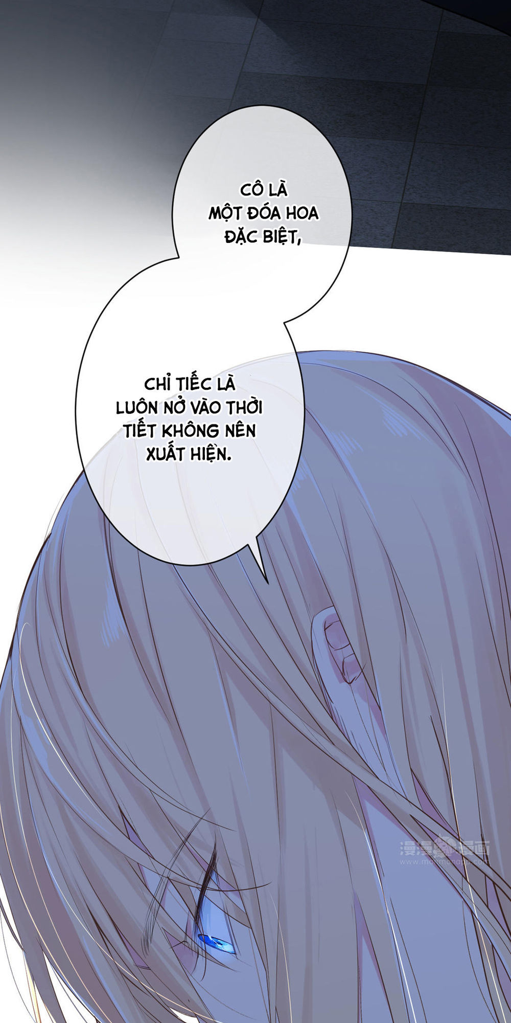Đại Chiến Công Chúa: Chapter 19.1