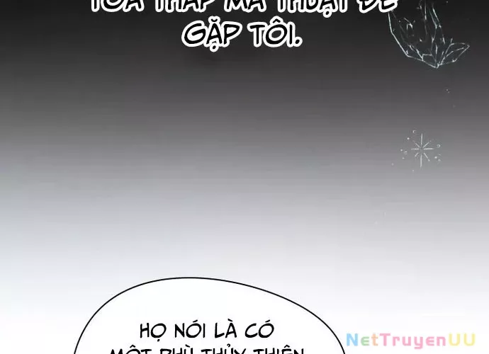 Đại Pháp Sư Của Tổ Đội Hồi Quy: Chapter 0