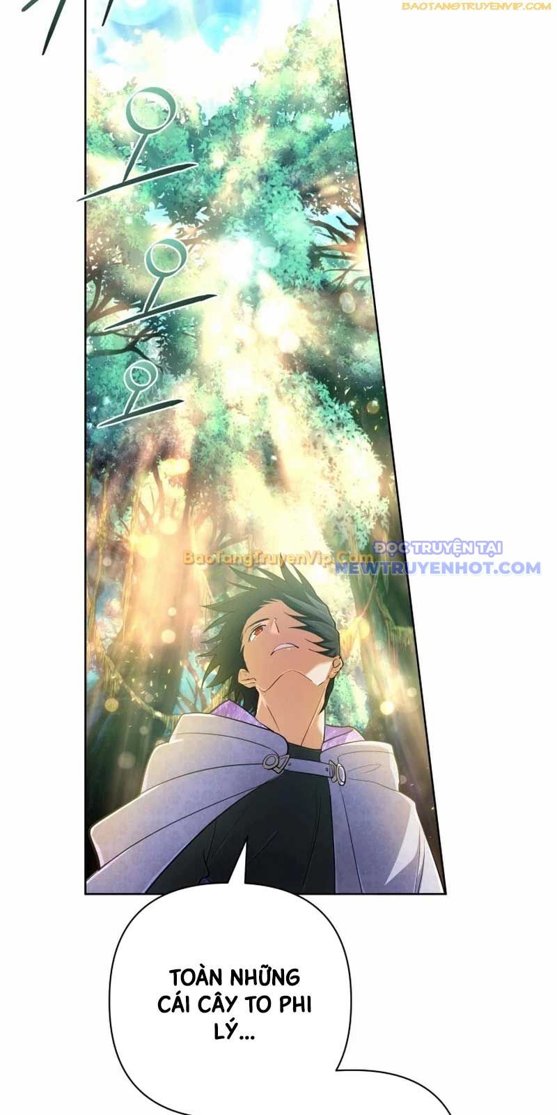 Đại Pháp Sư Thần Thoại Tái Lâm: Chapter 39