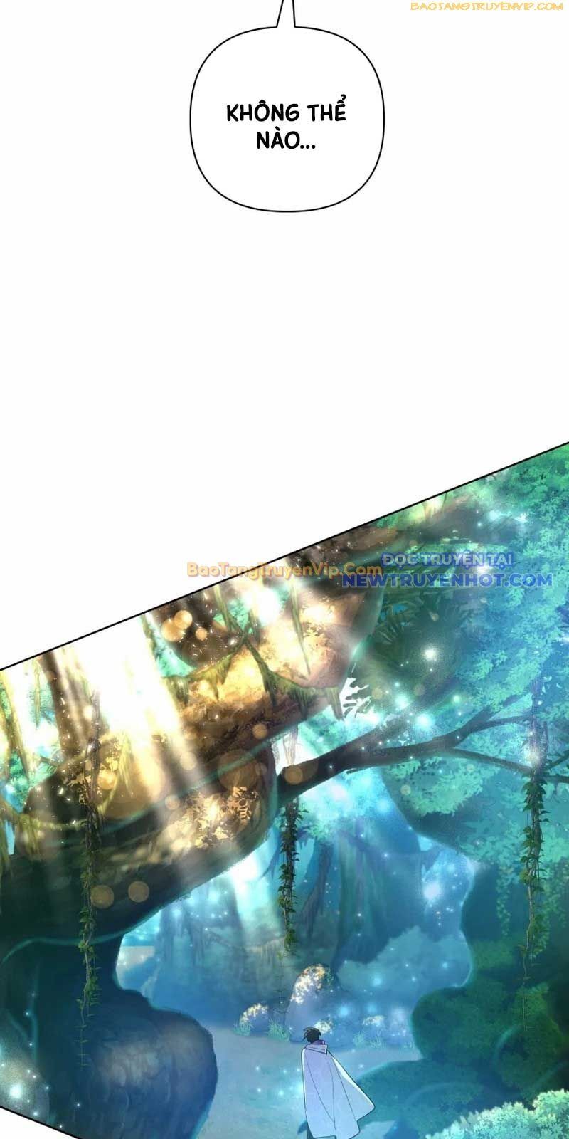 Đại Pháp Sư Thần Thoại Tái Lâm: Chapter 39
