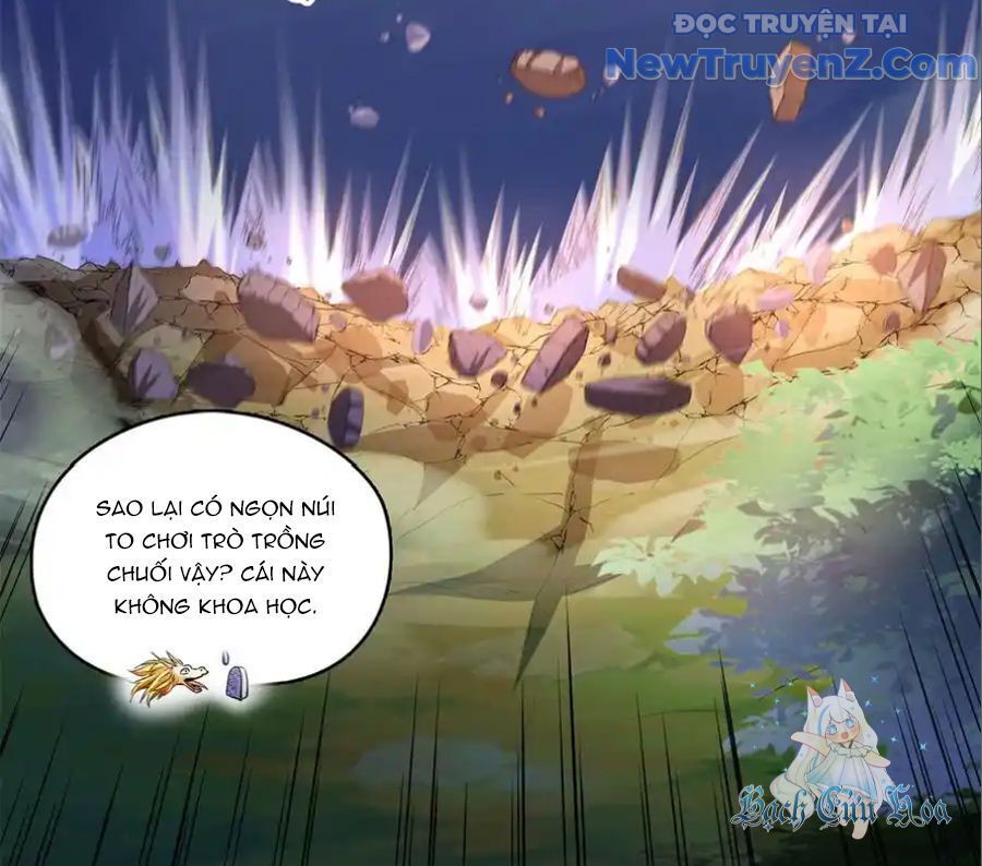 Đại Tần: Ta Con Trai Tần Thủy Hoàng Giết Địch Thăng Cấp Thành Thần: Chapter 678